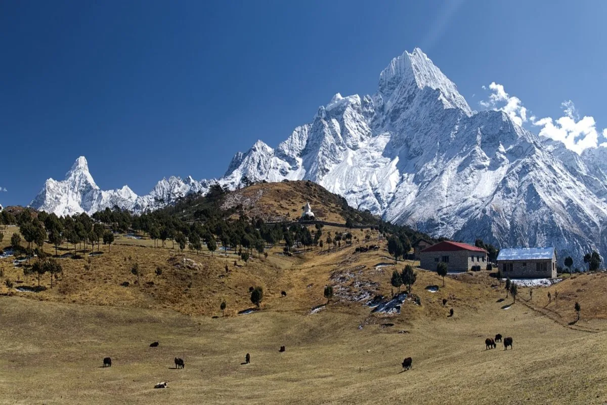 Essential Travel Documents for Nepal 2023/24 Nepal Vision Treks