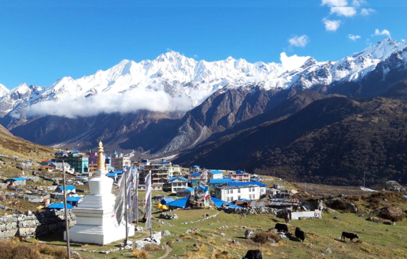 Langtang Valley Trek: A Journey Through Nature, Culture, and Resilience