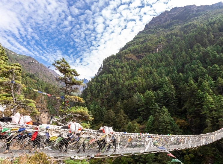 Nepal Trekking Safety: Vaccinations, Insurance & Health